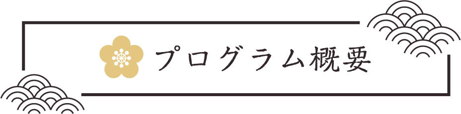 プログラム概要