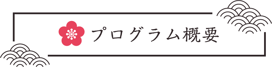 プログラム概要