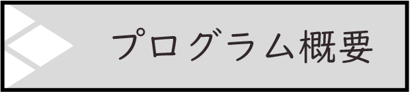 プログラム概要