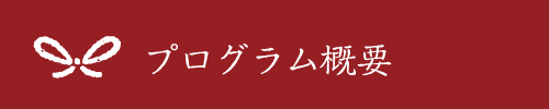 プログラム概要